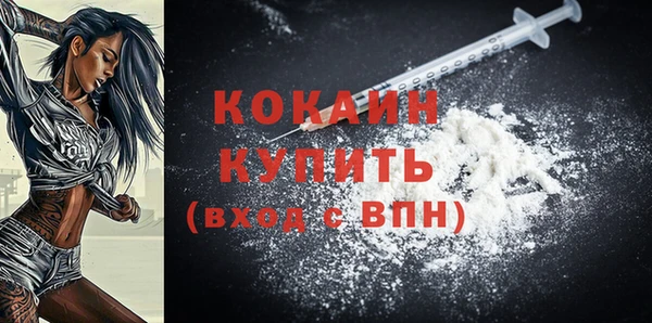 СК Каменногорск