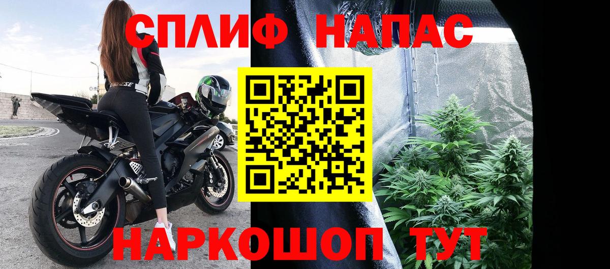 Бошки Шишки индика Касимов